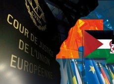 Sahara occidental : des organisations agricoles espagnoles se félicitent du verdict du Tribunal européen