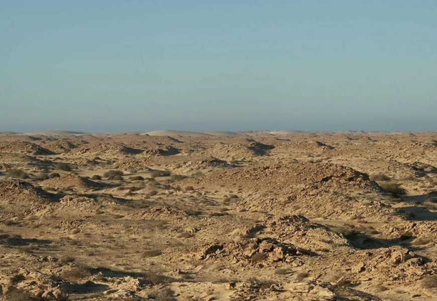 Camionneurs tués au Sahara occidental : une attaque pour « provoquer une réponse militaire d’Alger » ?