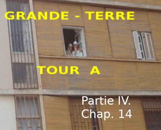 Roman : « GRANDE TERRE, TOUR A » de Kadour Naïmi – partie IV, chap. 14