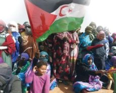 Mahrez Lamari, militant des droits de l’Homme et des peuples, à De Mistura : «les souffrances du peuple sahraoui vous interpellent»