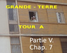 Roman : « GRANDE TERRE, TOUR A » de Kadour Naïmi – partie V, chap.7