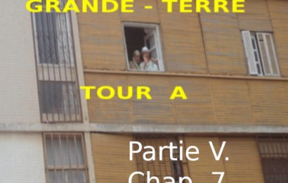 Roman : « GRANDE TERRE, TOUR A » de Kadour Naïmi – partie V, chap.7