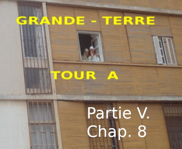 Roman : « GRANDE TERRE, TOUR A » de Kadour Naïmi – partie V, chap.8