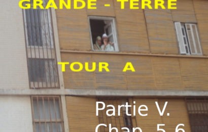 Roman : « GRANDE TERRE, TOUR A » de Kadour Naïmi – partie V, chap. 5-6