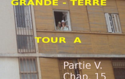 Roman : « GRANDE TERRE, TOUR A » de Kadour Naïmi – partie V, chap.15
