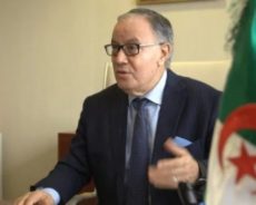 Algérie / Amar Belani : « Le Maroc demande à ses alliés de violer le droit international »