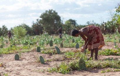 La FAO et le PAM mettent en garde contre une crise alimentaire généralisée imminente alors que la faim menace la stabilité dans des dizaines de pays