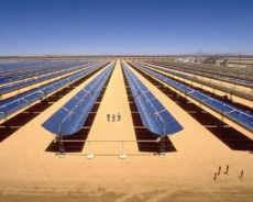 «L’Algérie aura le plus grand projet d’énergie renouvelable d’Afrique»