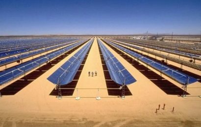 «L’Algérie aura le plus grand projet d’énergie renouvelable d’Afrique»