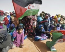 Conseil consultatif sahraoui : Le Maroc manipule les résolutions de la légalité internationale