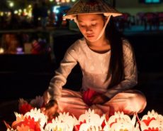Viêt Nam : La leçon