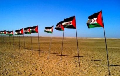 Décolonisation / L’ONU veut une action accélérée : Le Sahara occidental à l’ordre du jour du C24