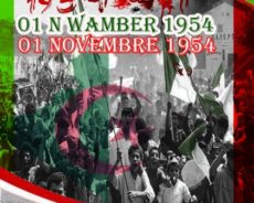 Pour un 1er Novembre linguistique en Algérie