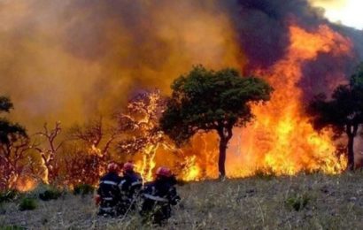 Le terrorisme du feu a encore frappé l’Algérie et l’ANP