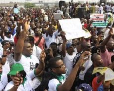 Niger / Une manifestation contre la politique française s’est déroulée au Nigeria