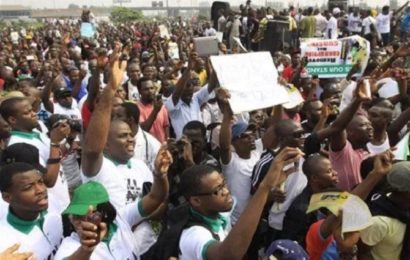 Niger / Une manifestation contre la politique française s’est déroulée au Nigeria