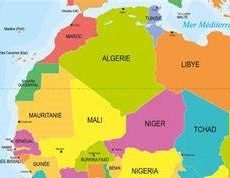 Création de zones franches entre l’Algérie et 5 pays africains en 2024