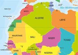 Création de zones franches entre l’Algérie et 5 pays africains en 2024