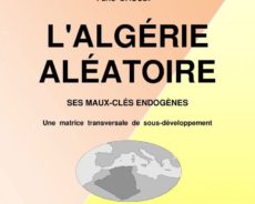 Algérie / Miser sur les diasporas et combattre l’oligarchie