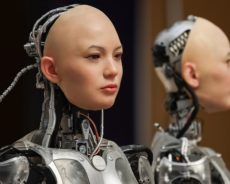 Ressources naturelles et matière grise : cas algérien